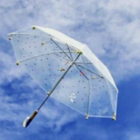 تصویر پروفایل زهرا دیزانی